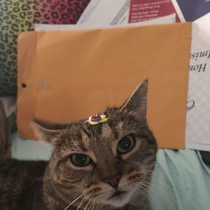 Meet your Posher, Kym